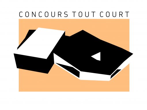 CONSTRUCTION D’UN ÉQUIPEMENT CULTUREL À ÉCOUFLANT (49)